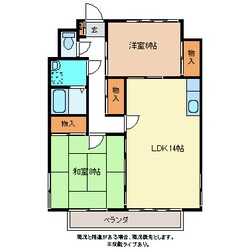 メゾンルセーヌＡ棟の物件間取画像